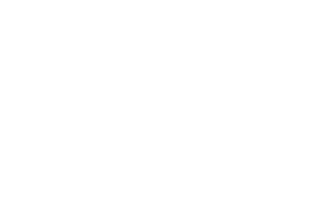 logo Puglia People
