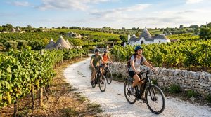 Escursione in eBike tra i vigneti della Valle d’Itria in puglia