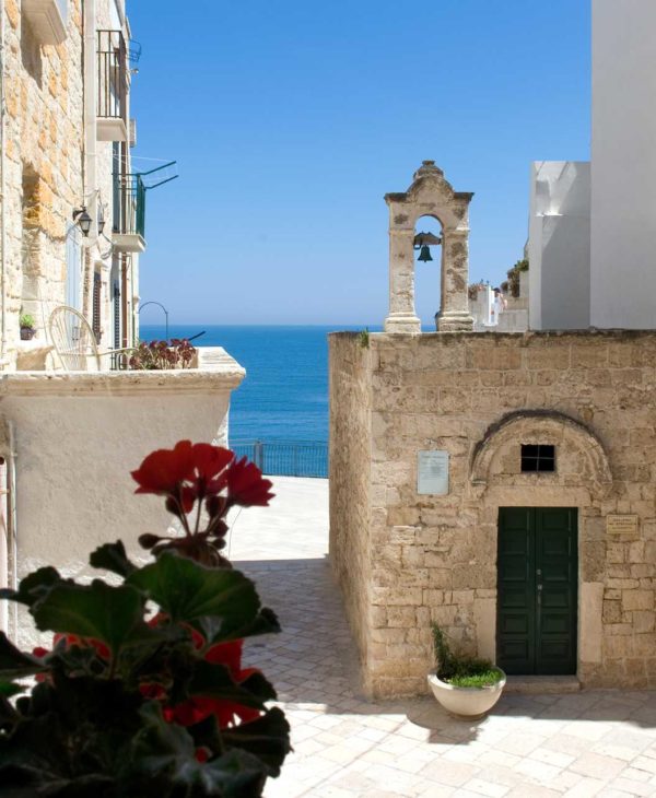 Tour Alberobello e Polignano a Mare tra i trulli UNESCO e il centro storico affacciato sul mare della Puglia