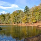 Escursionisti lungo un sentiero naturalistico tra i faggi della Foresta Umbra