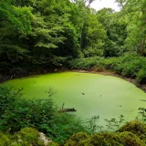 Escursionisti lungo un sentiero naturalistico tra i faggi della Foresta Umbra