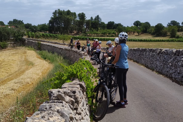 Tour in e-bike tra i borghi della Valle d’Itria e panorami pugliesi