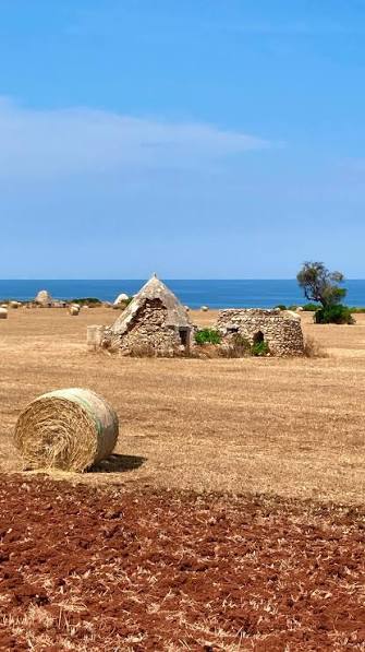 
"Escursione lungo la costa pugliese tra mare cristallino, scogliere e paesaggi mediterranei"