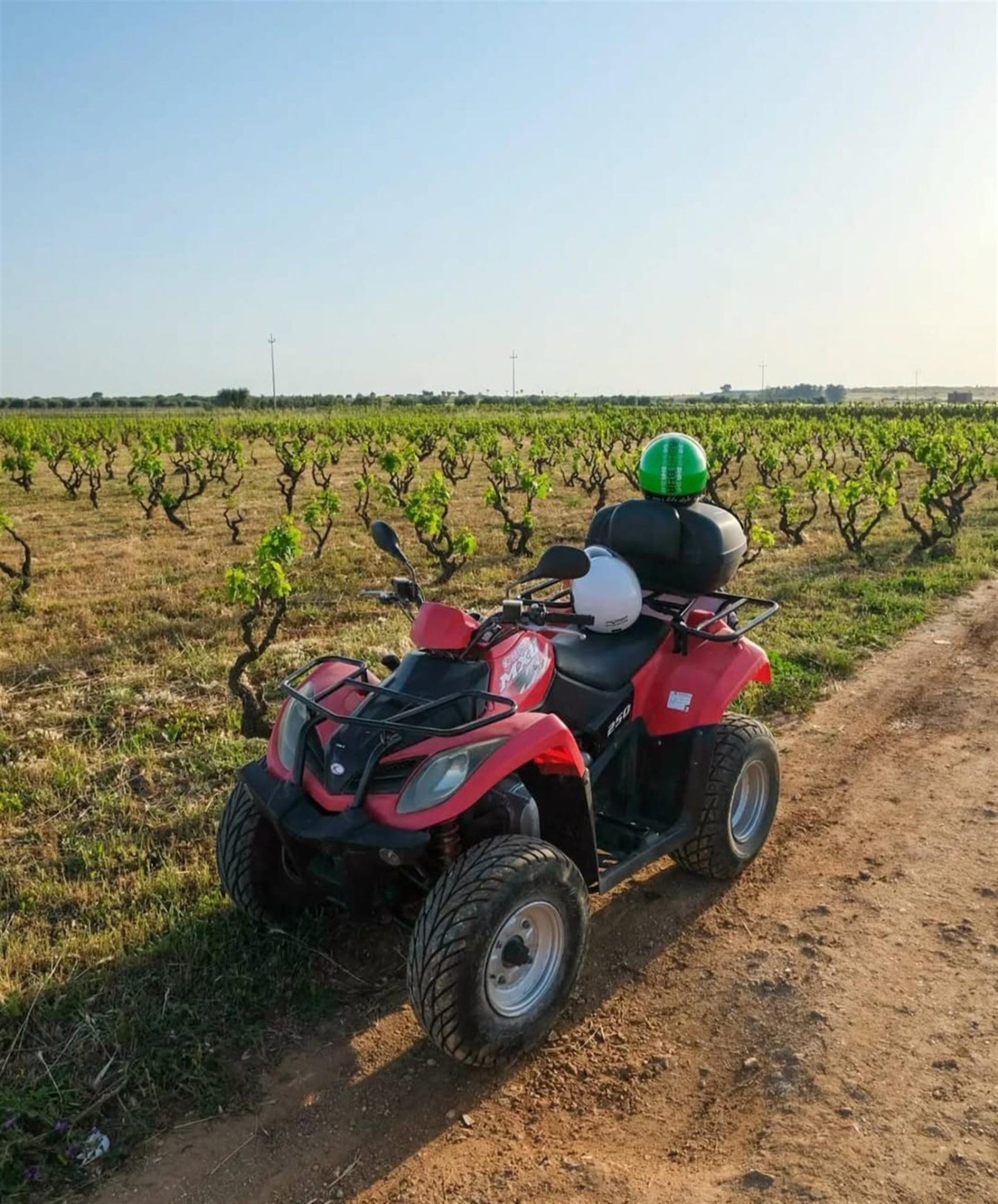 Escursione in Quad tra trulli e macchia mediterranea