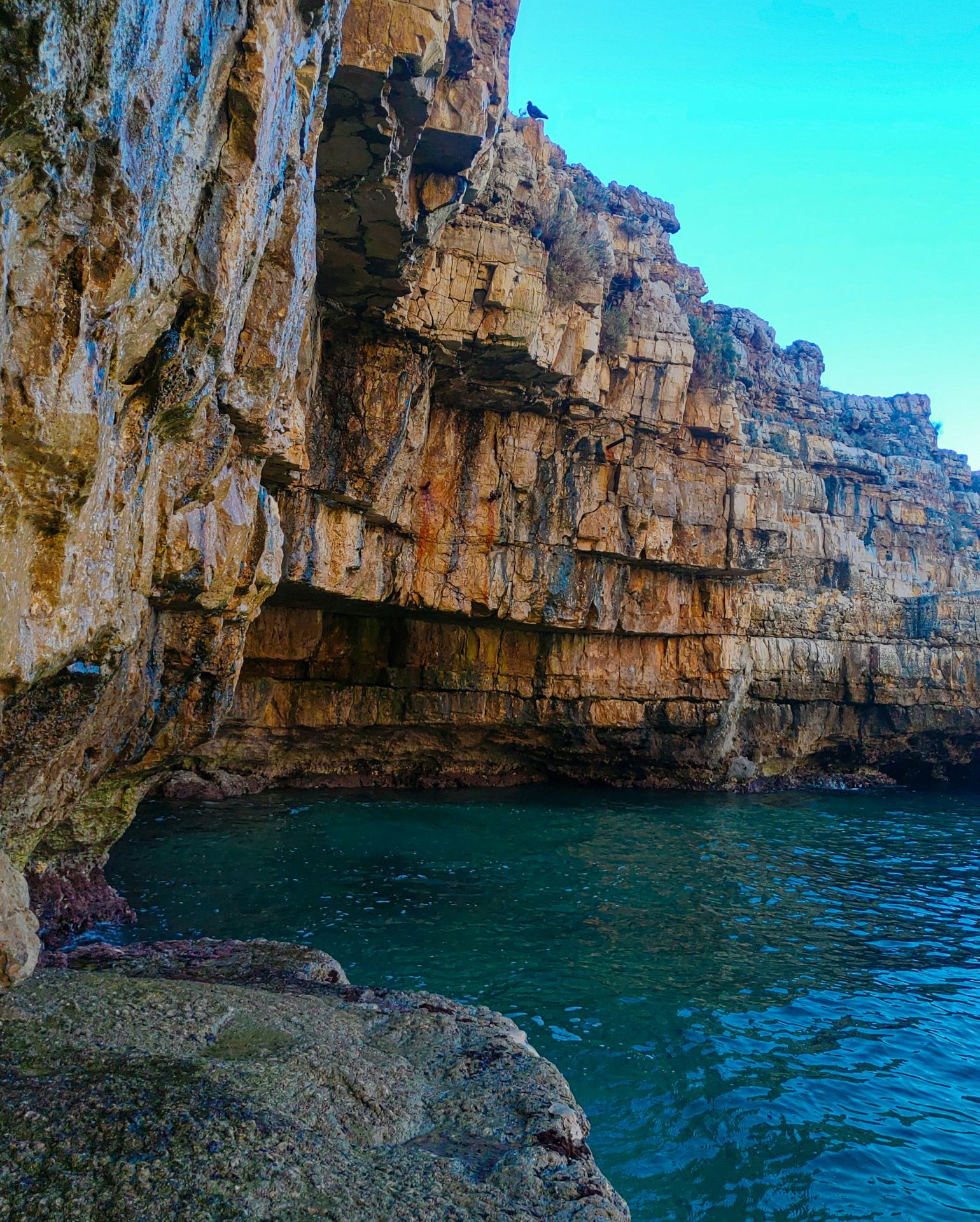 Tour privato in barca davanti alle grotte marine di Polignano a Mare